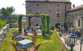 B&B al Merlo Olivo